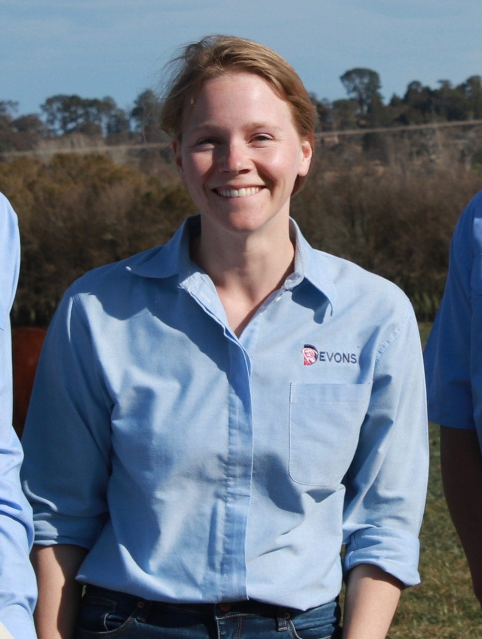 Ladies Oxford Shirt - Devon Cattle